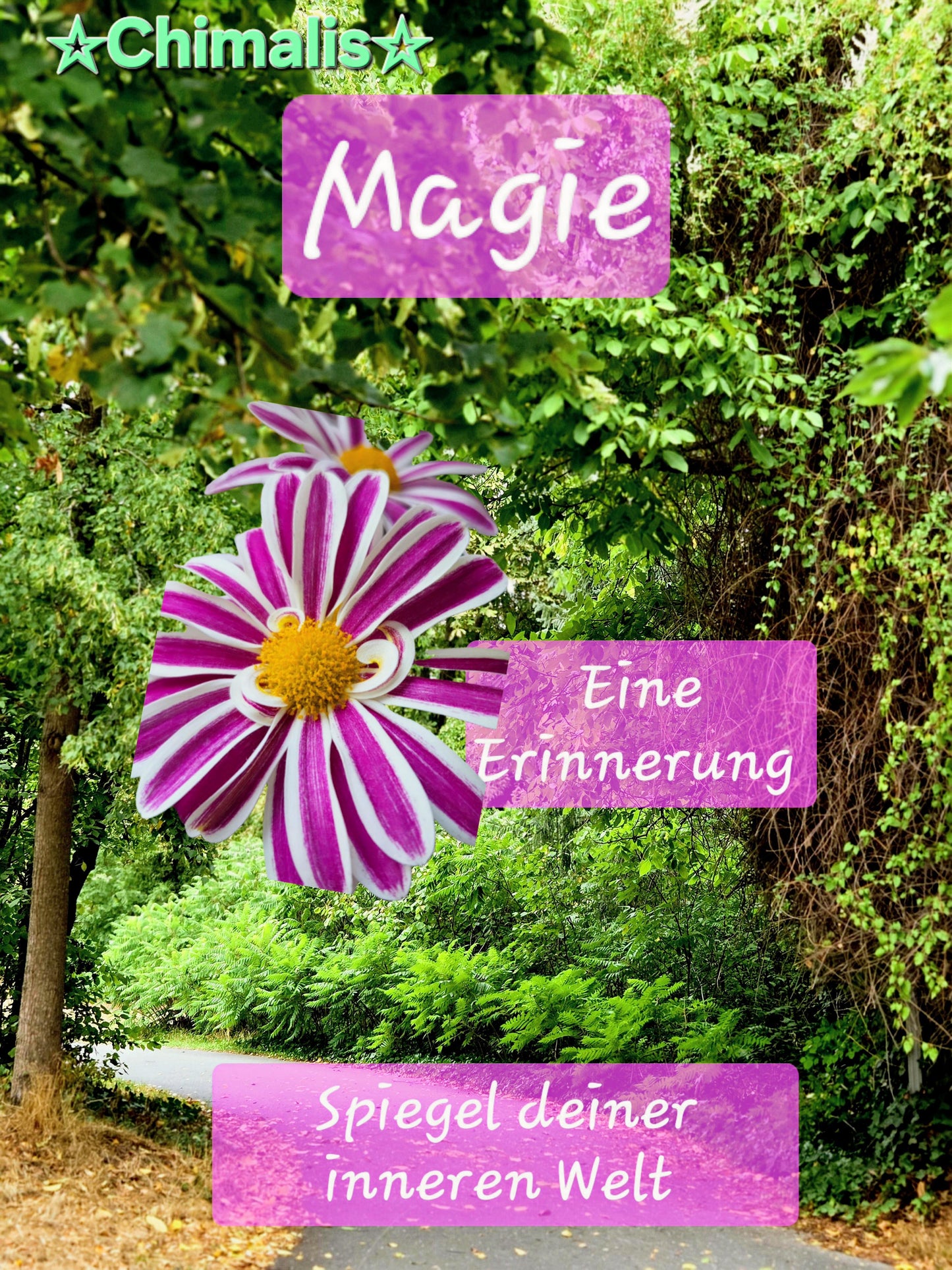 Magie - Spiegel deiner inneren Welt