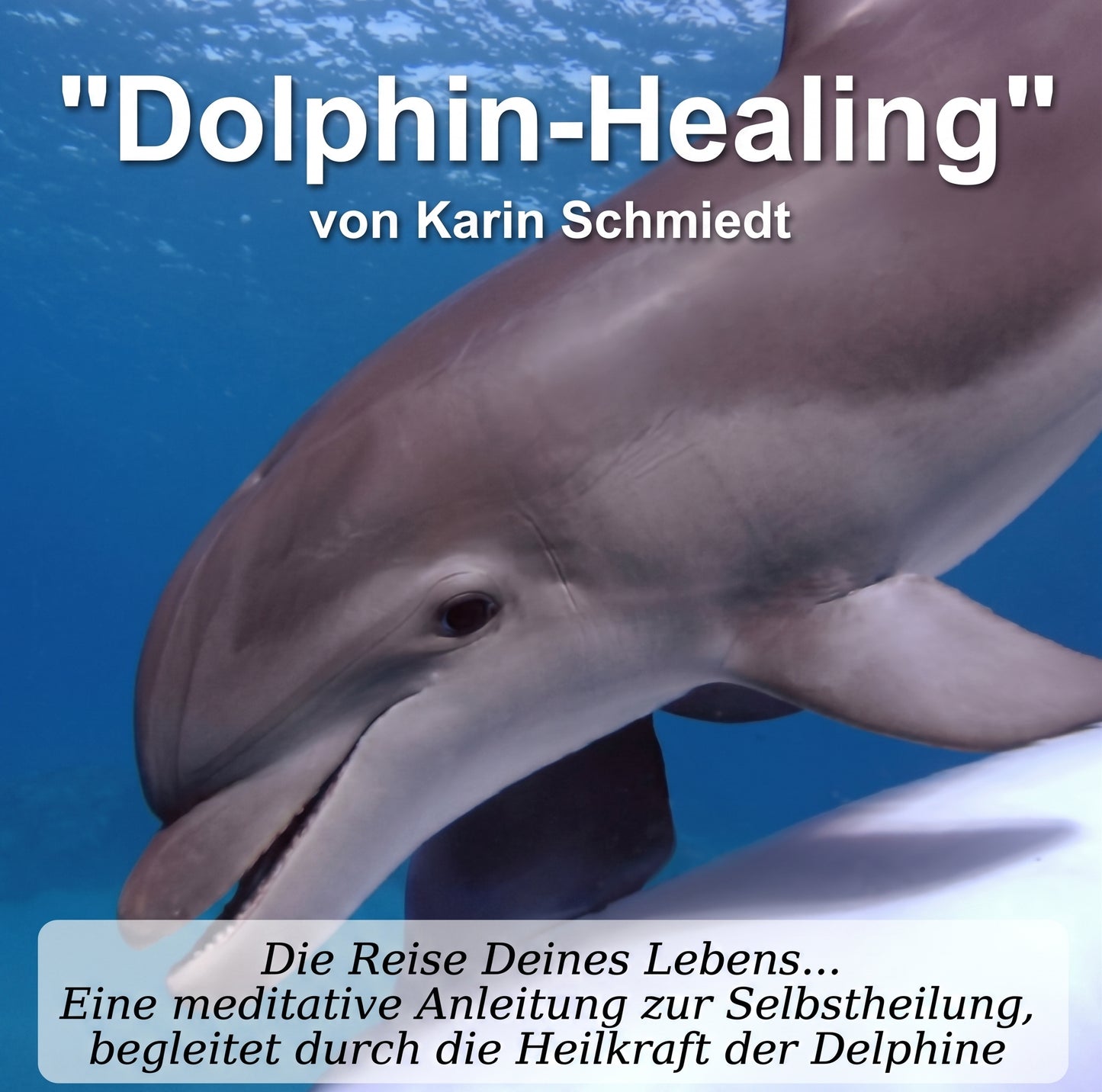"Dolphin-Healing 1" - Inneres Kind - eine 43-minütige geführte Meditation von Karin Schmiedt