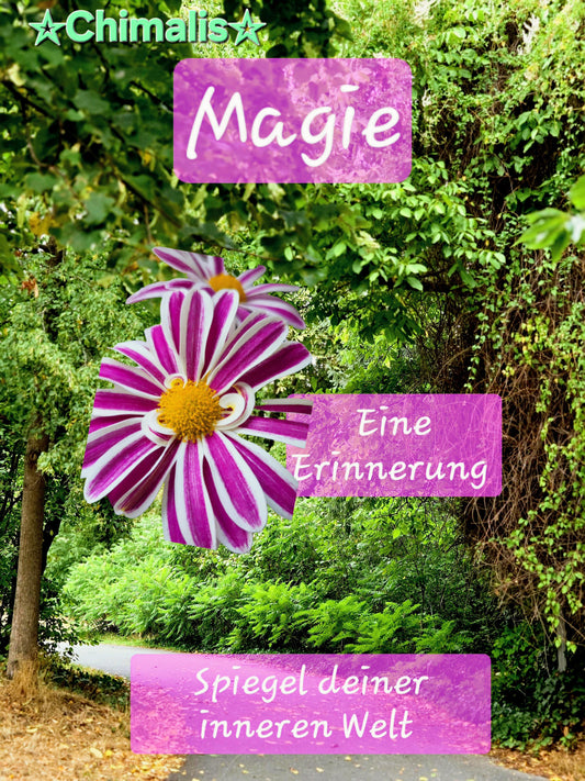 Magie - Spiegel deiner inneren Welt
